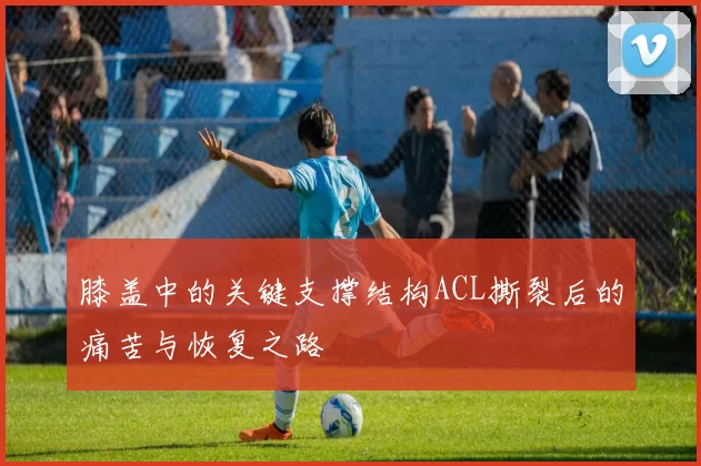 膝盖中的关键支撑结构ACL撕裂后的痛苦与恢复之路