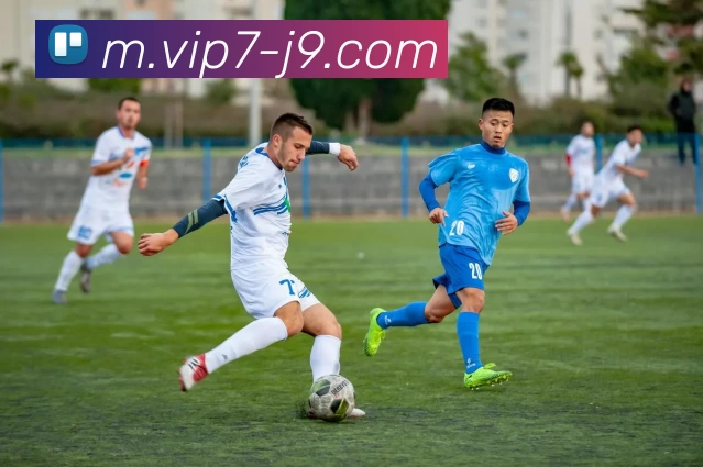 九游会服务体系